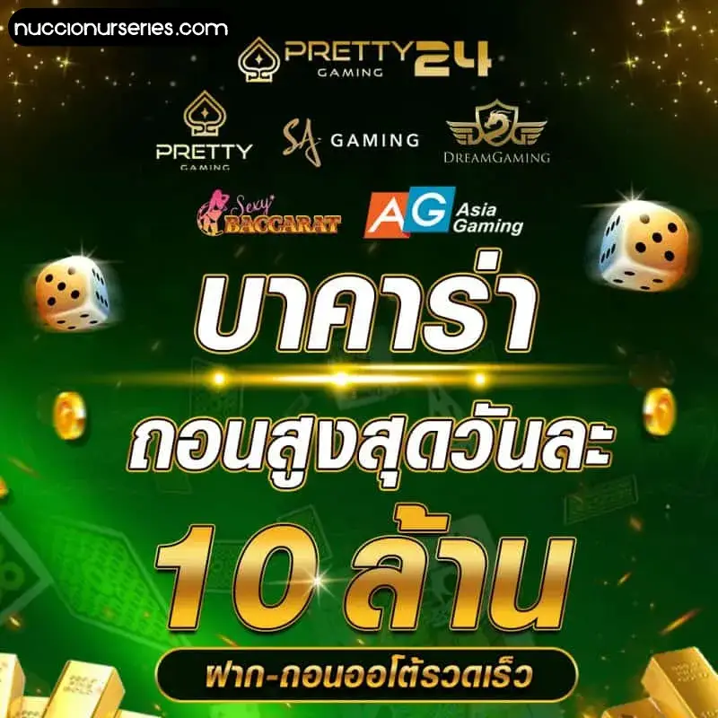โปร โม ชั่ น บา ค่า ร่า